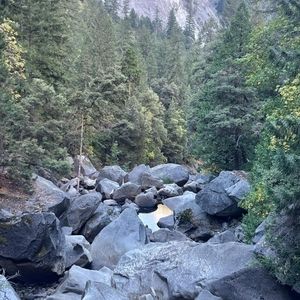 Meet your Posher, Alan